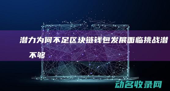 潜力为何不足 区块链钱包发展面临挑战 (潜力不够是什么意思)