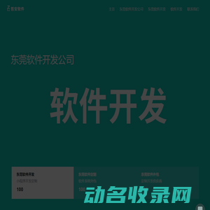 东莞软件外包公司
